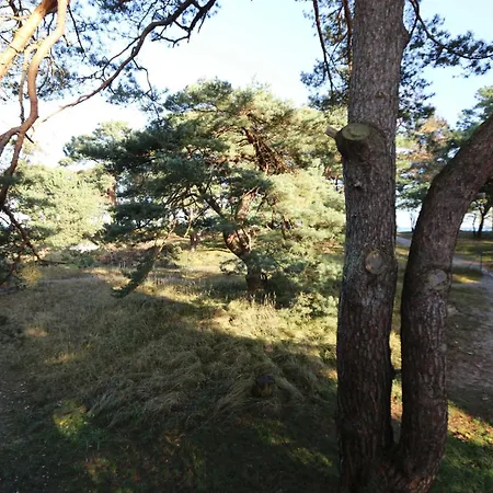 Strandhaus Duenenweg 17c Mit Terrasse Und Kamin Ferienhaus *